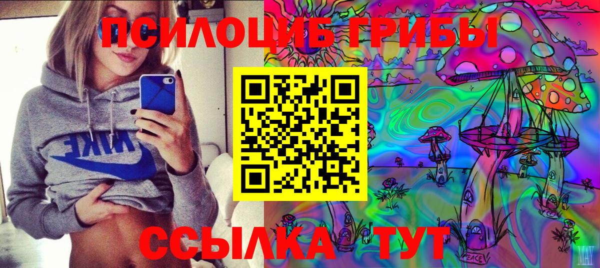 Псилоцибиновые грибы мицелий Чапаевск