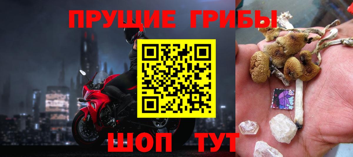 Чапаевск  Псилоцибиновые грибы мицелий  Вход с VPN  Галлюциногенные грибы мицелий 